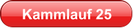 Kammlauf 25
