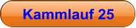 Kammlauf 25