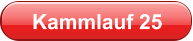 Kammlauf 25
