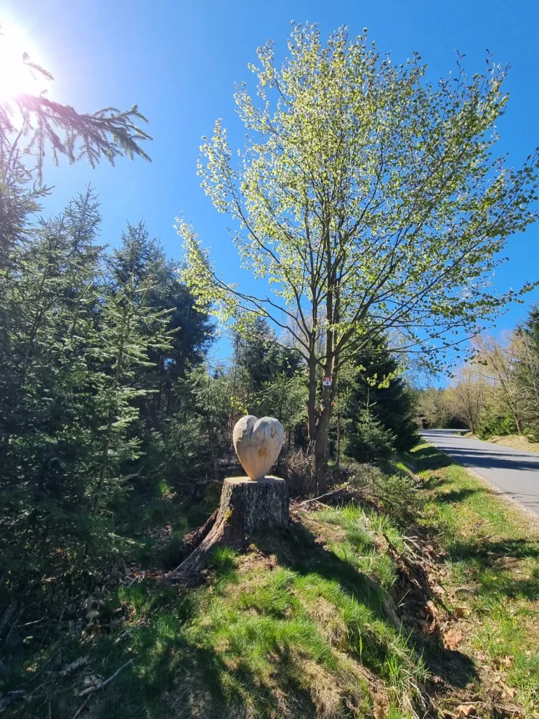 IfL Helmbrechts - Waldsteinlauf 2026