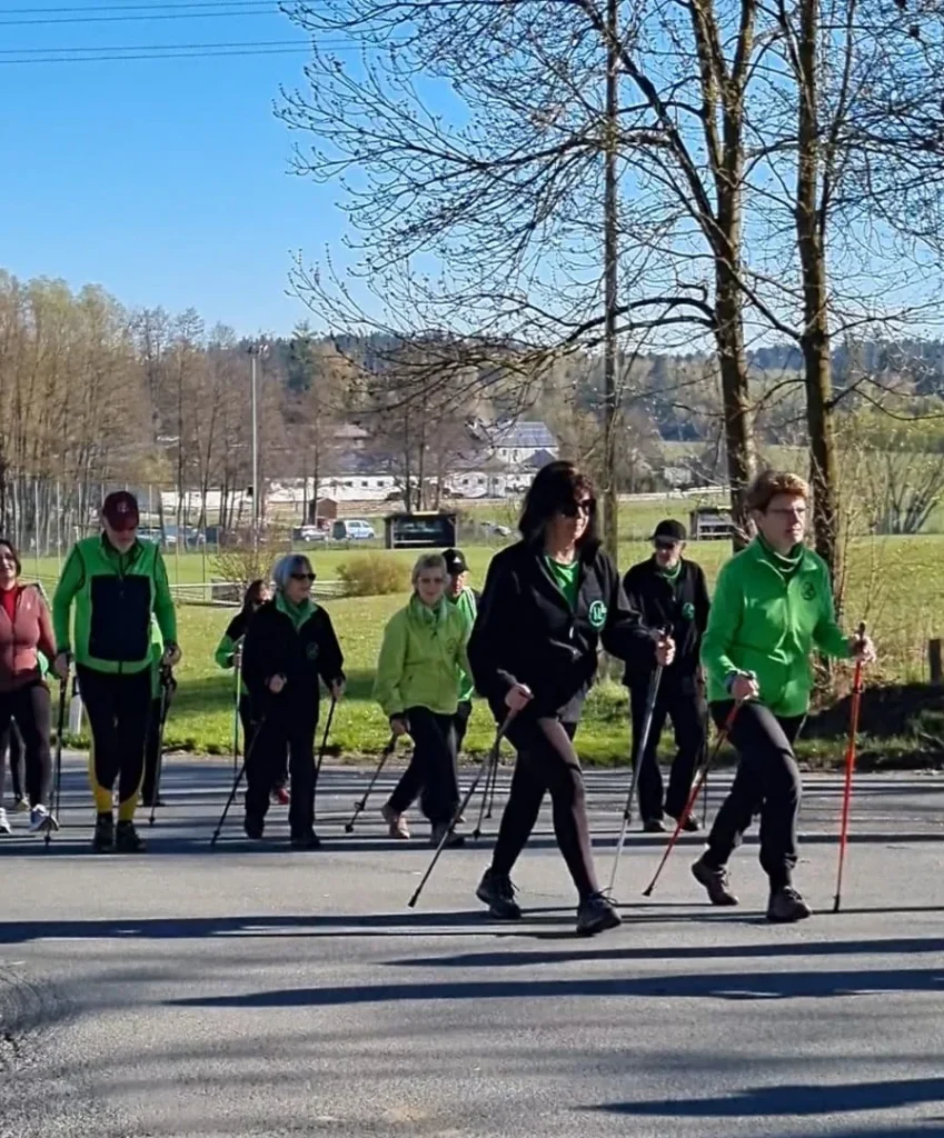 IfL Helmbrechts - Waldsteinlauf 2026