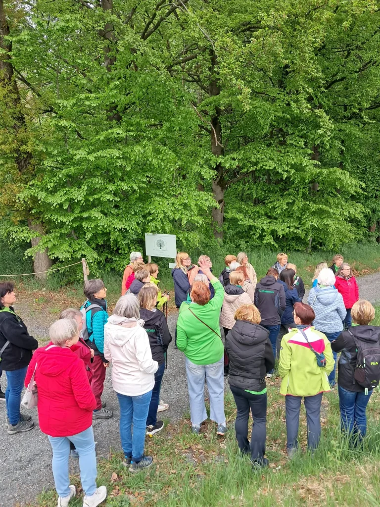 Ifl Helmbrechts - Frauenstammtisch 2026
