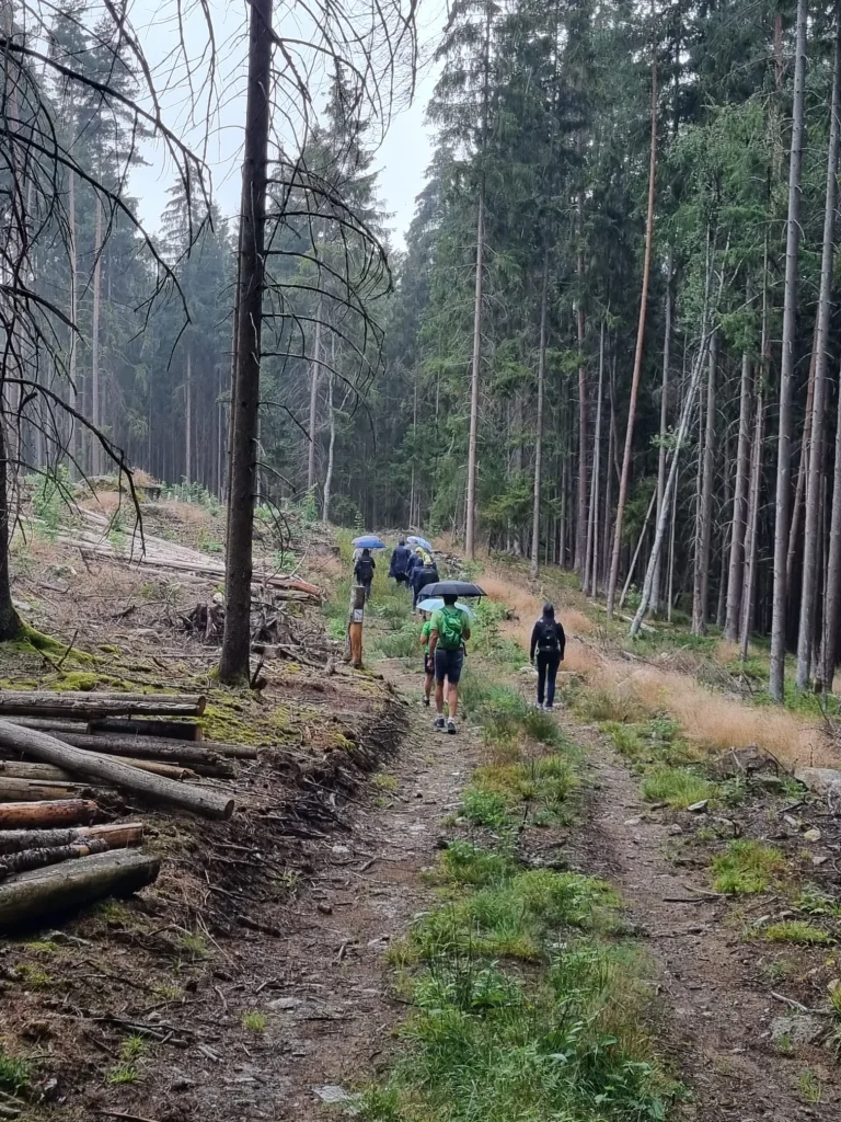 IfL Helmbrechts - Wanderung mit Einkehr
