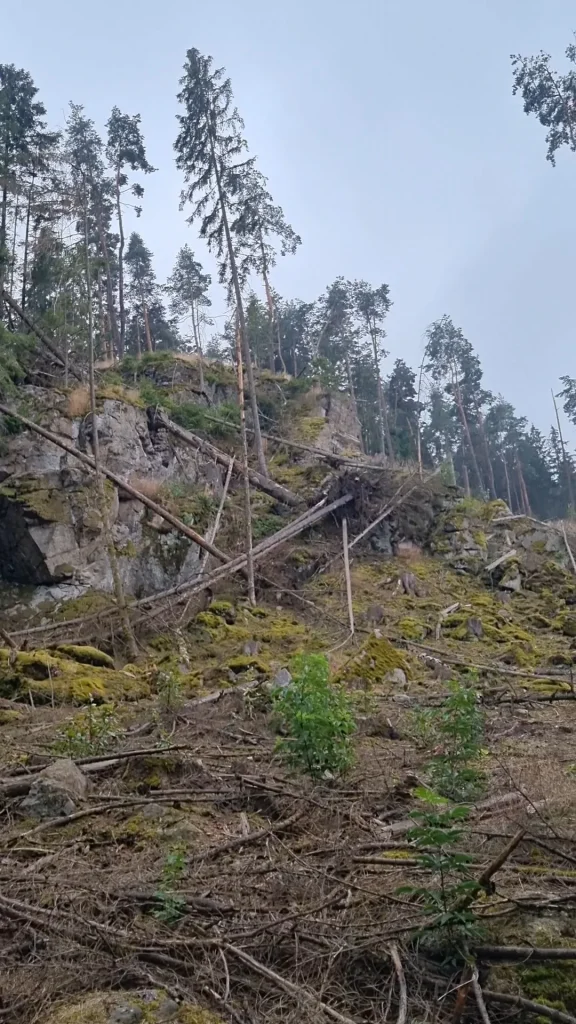 IfL Helmbrechts - Wanderung mit Einkehr