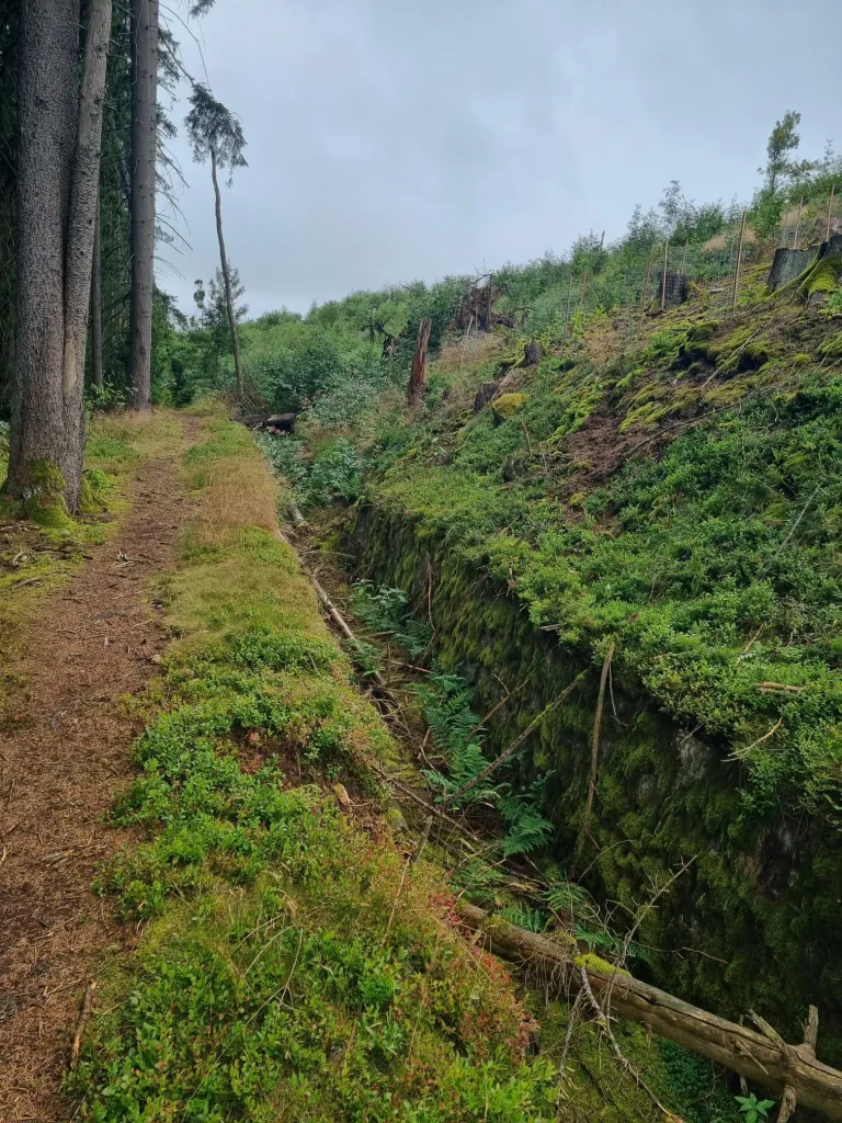 IfL Helmbrechts - Wanderung mit Einkehr