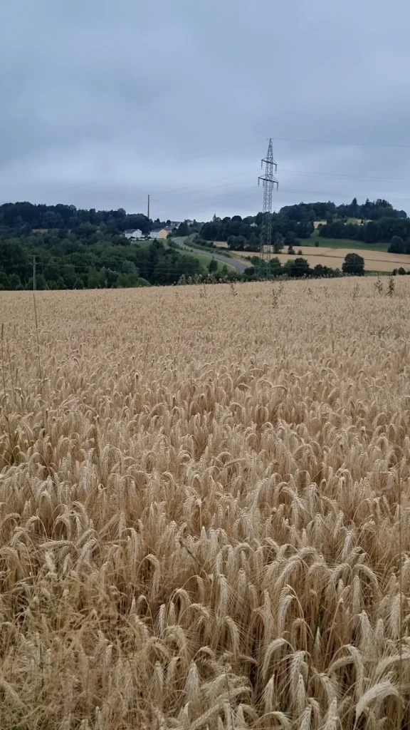 IfL Helmbrechts - Wanderung mit Einkehr